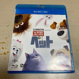 ユニバーサルエンターテインメント(UNIVERSAL ENTERTAINMENT)のペット　ブルーレイ＋DVDセット Blu-rayのみ(舞台/ミュージカル)