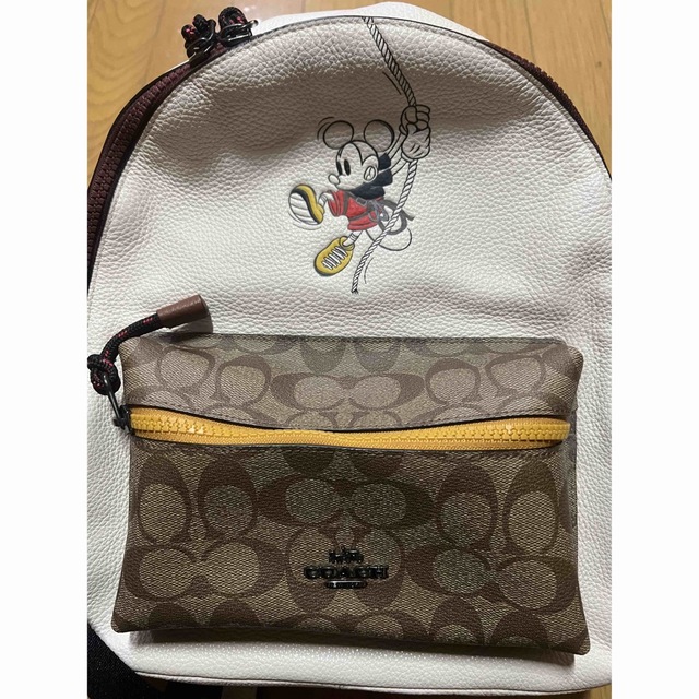 COACH ディズニー 日本限定コラボバッグ 店舗良い 9800円引き ybsoul.co.il