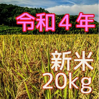 きらく様専用　令和４年産新米 低農薬玄米２０キロ (精米サービス中)(米/穀物)