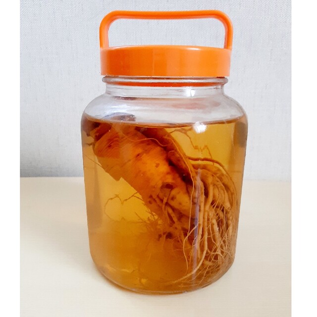 高麗人参酒 古酒 30年以上物 飲料 高麗人参酒 古酒 30年以上物 飲料