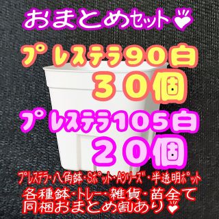 【スリット鉢】プレステラ90白30個・105白20個 多肉植物 プラ鉢(プランター)