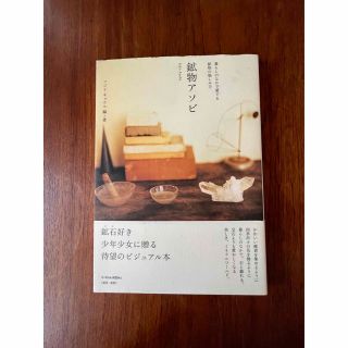 鉱物アソビ 暮らしのなかで愛でる鉱物の愉しみ方(住まい/暮らし/子育て)