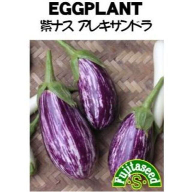 like　her様向け＜野菜の種＞14点 ハンドメイドのフラワー/ガーデン(プランター)の商品写真