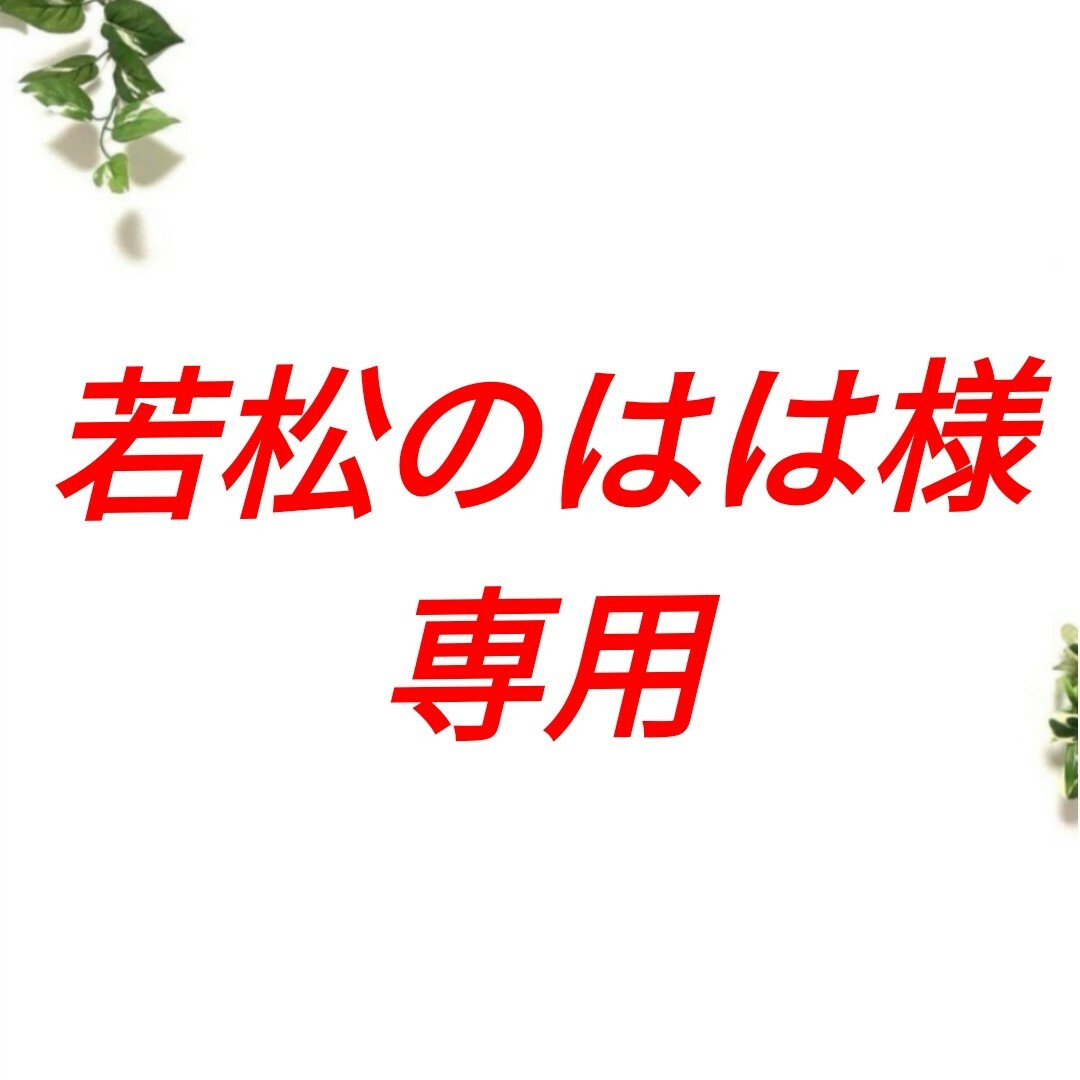 極美品☆ルイヴィトン ダミエ 長財布モノグラム-