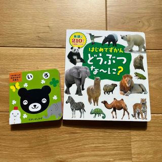 どうぶつな〜に？　はじめてずかん　他一冊(絵本/児童書)