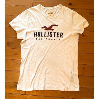 ホリスター(Hollister)のHOLLISTER ホリスター 半袖Tシャツ 白 Mサイズ★値下げ！(Tシャツ/カットソー(半袖/袖なし))