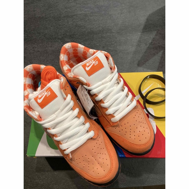 NIKE(ナイキ)のConcepts × Nike SB Dunk  メンズの靴/シューズ(スニーカー)の商品写真