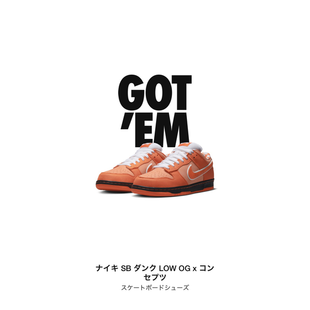 NIKE(ナイキ)のConcepts × Nike SB Dunk  メンズの靴/シューズ(スニーカー)の商品写真