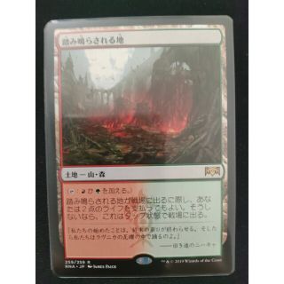 マジックザギャザリング(マジック：ザ・ギャザリング)のMTG 踏み鳴らされる地 日本語版(その他)