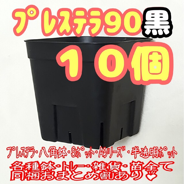 【スリット鉢】プレステラ90黒10個 多肉植物 プラ鉢 ハンドメイドのフラワー/ガーデン(プランター)の商品写真