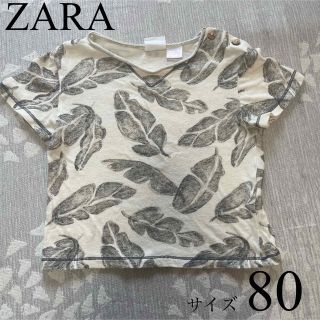 ザラ(ZARA)の値下　ZARA おしゃれな羽柄Tシャツ(Ｔシャツ)