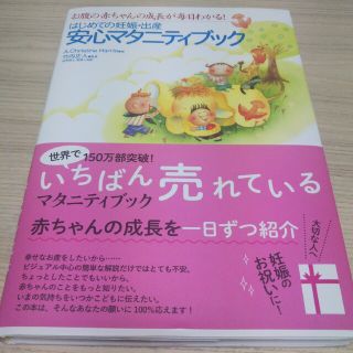 はじめての妊娠・出産安心マタニティブック(結婚/出産/子育て)