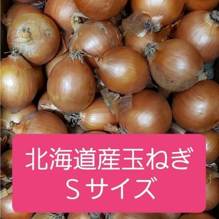 ◆北海道産　玉ねぎ　Ｓサイズ　約１０キロ(野菜)