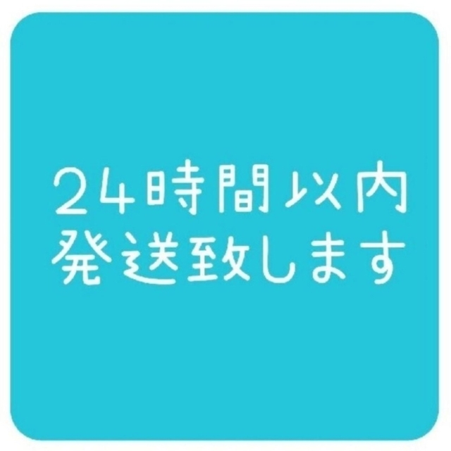 【ジュンジェ様、専用】Richard Ginori カップ & ソーサー２客 インテリア/住まい/日用品のキッチン/食器(グラス/カップ)の商品写真