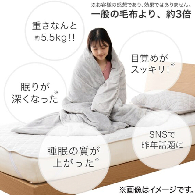 ニトリ - 重い毛布 ひもなしらくらくカバー付き シングル(Nグリップ5.5