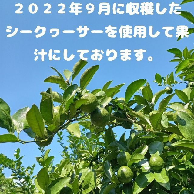 2022年初搾り　沖縄 青切りシークワーサー 100% 120ml x 3本 食品/飲料/酒の飲料(ソフトドリンク)の商品写真