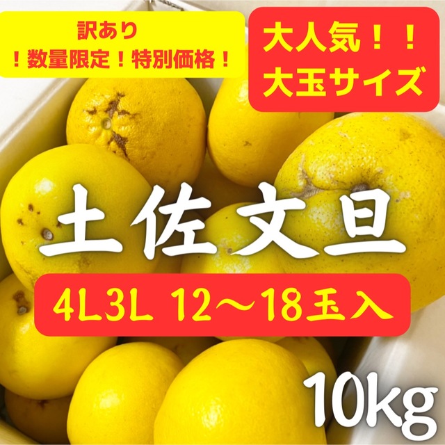 訳あり 高知特産 露地 4L3Lサイズ 土佐文旦 文旦 約10kg 食品/飲料/酒の食品(フルーツ)の商品写真