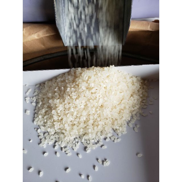米/穀物　にじのきらめきR4年度収穫　白米小分け9kg×3個