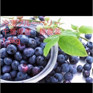 冷凍ブルーベリー　千葉県産　無農薬　1,5kg(フルーツ)
