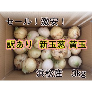 訳あり 新玉葱 新玉ねぎ 黄玉 静岡県浜松産3kg(野菜)