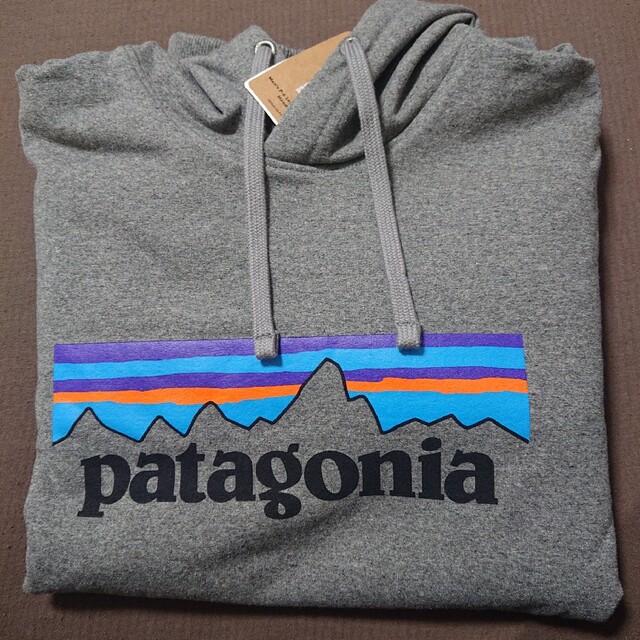 patagonia(パタゴニア)のパタゴニア P-6ロゴ・アップライザル・フーディ メンズのトップス(パーカー)の商品写真