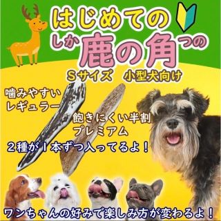 初めての鹿の角 S×各1本 犬のおやつ『ガリッとホーン食べ比べ』シカ 小型犬(ペットフード)