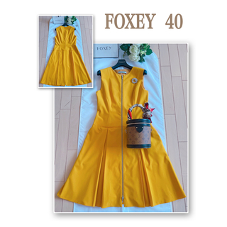 フォクシー(FOXEY)のFOXEY 2018年RAINYワンピース40 極美品　Rene(ひざ丈ワンピース)