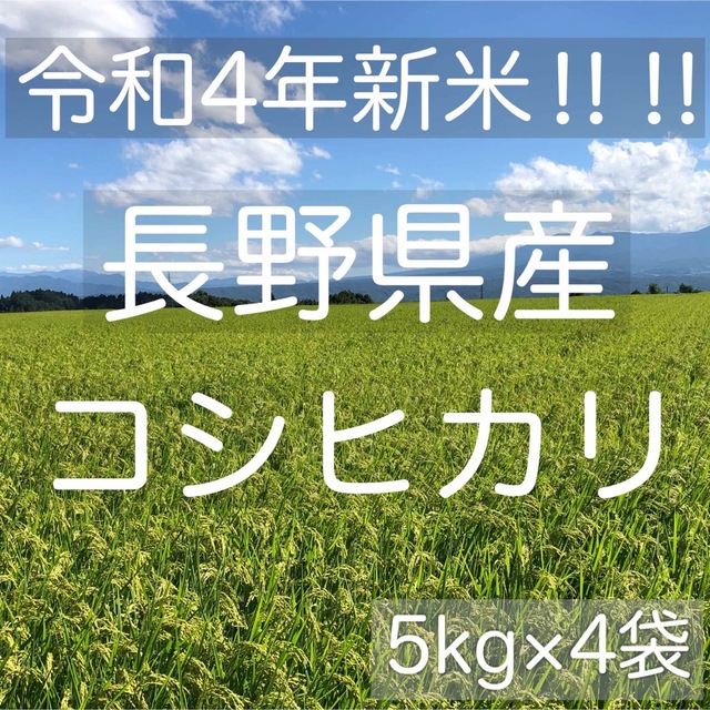 お米【令和4年産】長野県コシヒカリ20キロ白米