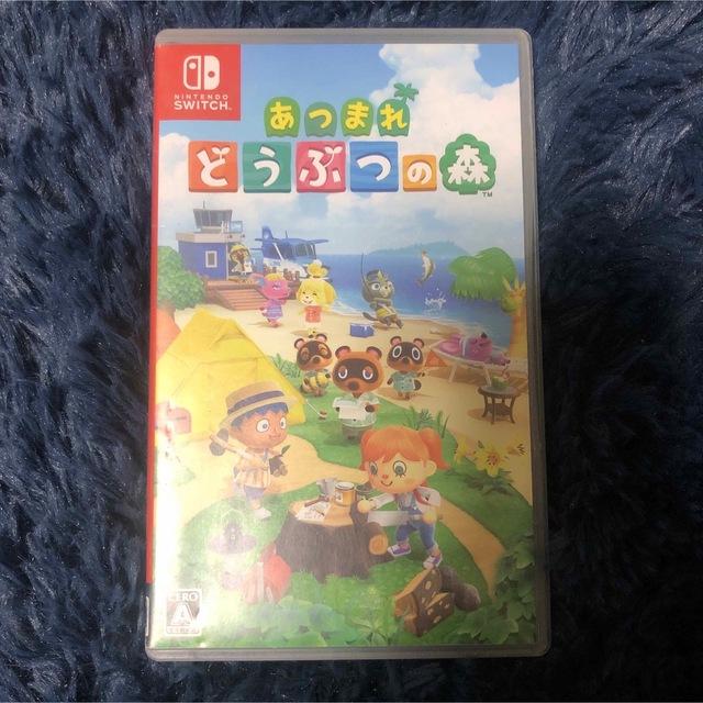 あつまれ どうぶつの森 Switch