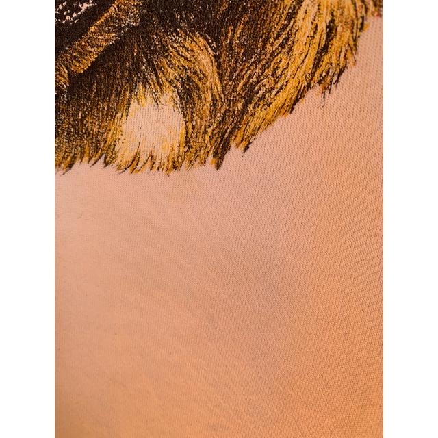 FRUIT OF THE LOOM(フルーツオブザルーム)のゴールデンレトリバー　スウェット　犬　William Wegman メンズのトップス(Tシャツ/カットソー(半袖/袖なし))の商品写真