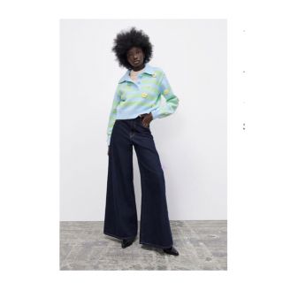 ザラ(ZARA)のZARA エンブロイダリーフラワーポロニットセーター　Sサイズ(ニット/セーター)