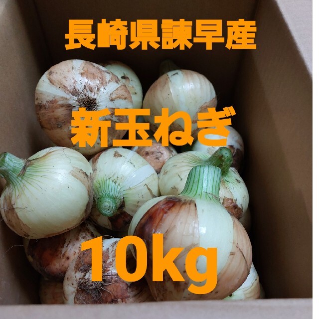 長崎県諫早産 新玉ねぎ10kg 食品/飲料/酒の食品(野菜)の商品写真