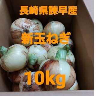 長崎県諫早産 新玉ねぎ10kg(野菜)