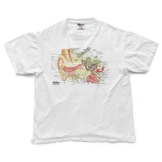90sヴィンテージ|Anatomical Chart co/解剖図 Tシャツ www