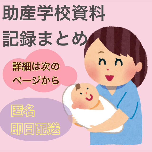 助産実習 母性看護学実習 大容量データ-www.villanueva-lab.com