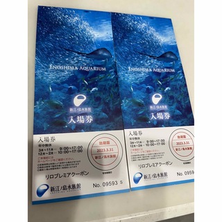 新江ノ島水族館　ご招待券　２枚 有効期限２０２３年３月３１日 入場券 新江ノ島(水族館)