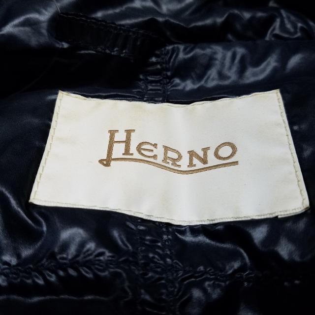 HERNO(ヘルノ)のヘルノ ダウンジャケット サイズ40 M - レディースのジャケット/アウター(ダウンジャケット)の商品写真