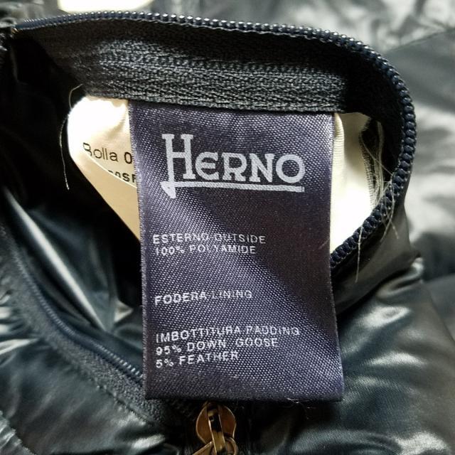 HERNO(ヘルノ)のヘルノ ダウンジャケット サイズ40 M - レディースのジャケット/アウター(ダウンジャケット)の商品写真