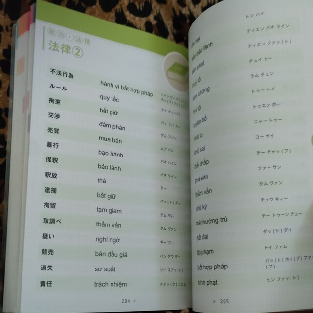 ベトナム語単語ＢＯＯＫ ぱっと引けてすぐに使える エンタメ/ホビーの本(語学/参考書)の商品写真