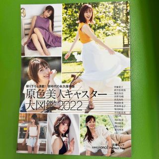 原色美人キャスター大図鑑2022【柴田阿弥直筆サイン入・生写真付】(アート/エンタメ)