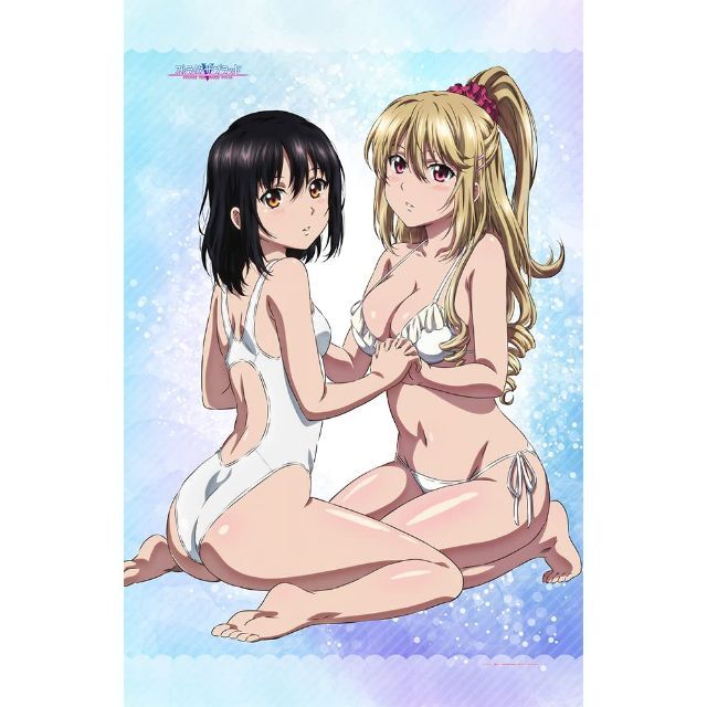 カーテン魂 ストライク・ザ・ブラッド タオルケット 雪菜 浅葱 約200×130