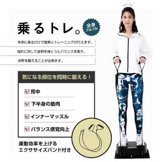 アルインコ 振動マシンバランスウェーブコンパクト WBN5020K(エクササイズ用品)