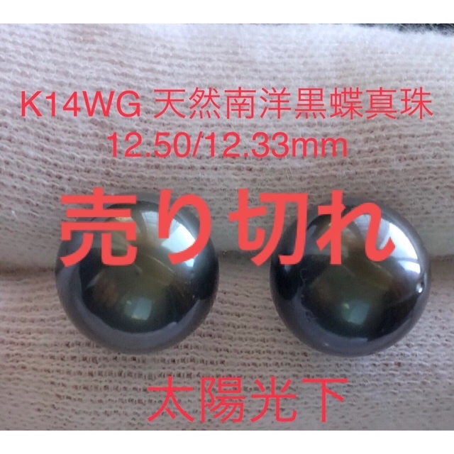 K14WG 天然南洋黒蝶真珠ピアス　12.5/12.33mm