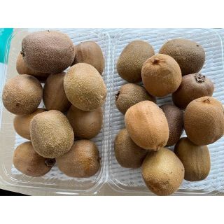 ⚠︎説明文必読⚠︎  キウイ　約2.5kg　青森県平川産　やや傷みあり含む(フルーツ)