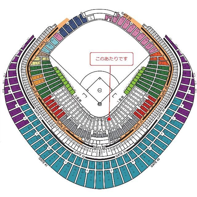 3/31　東京ドーム 巨人 VS 中日 チケット ペア