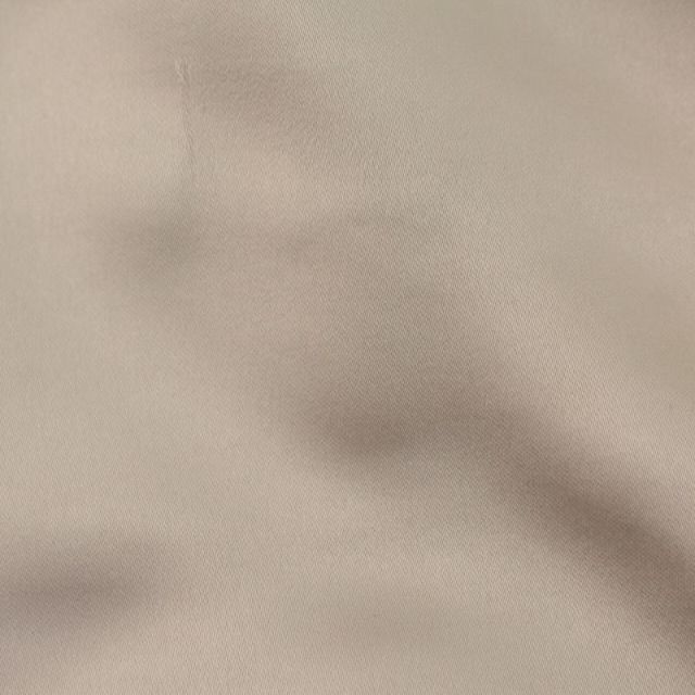 nano・universe(ナノユニバース)のナノユニバース フレアスカートイージー サテン ロング マキシ F グレージュ レディースのスカート(ロングスカート)の商品写真