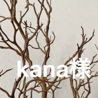 リッチェル(Richell)のkana様専用(その他)