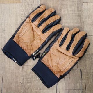 ヘストラ HESTRA レザー グローブ GORE-TEX 9 メンズ 手袋 スキー