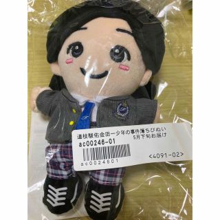 金田一 みっちーちびぬい(アイドルグッズ)