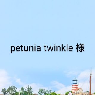 petunia twinkle様 おまとめページ(各種パーツ)